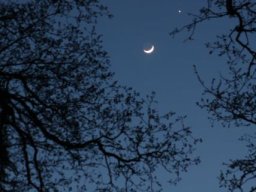Rapprochement Lune Vénus Jupiter - 26 mars 2012